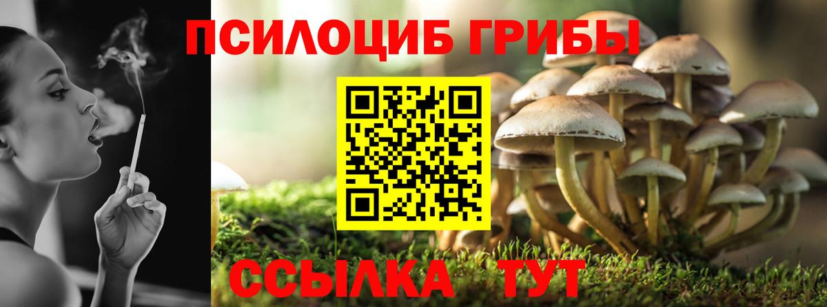 МЕФ кристаллы  ГАШ  АМФ кристаллы  МАРИХУАНА  Искитим  A-PVP СК   Вход с VPN  КОКАИН  ГАШИШ 