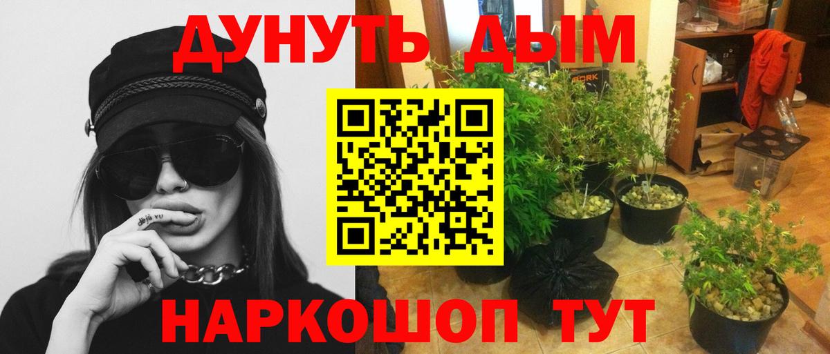 Канабис THC 21%  Вход с VPN  Искитим  Канабис Amnesia  Каннабис сатива 